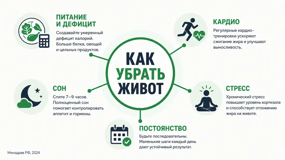 Пять рычагов, которые реально убирают живот, — работают только вместе. как убрать живот: 5 рычагов — питание, движение, сон, стресс, дефицит
