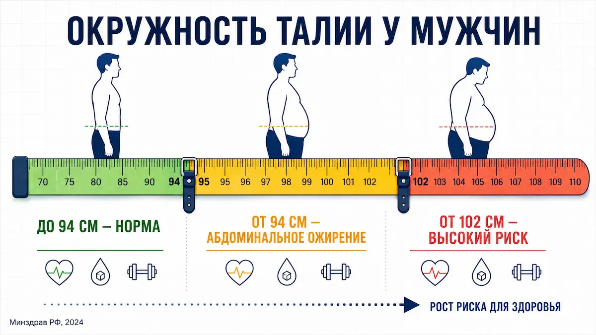 норма талии у мужчин: 94 и 102 см, шкала риска