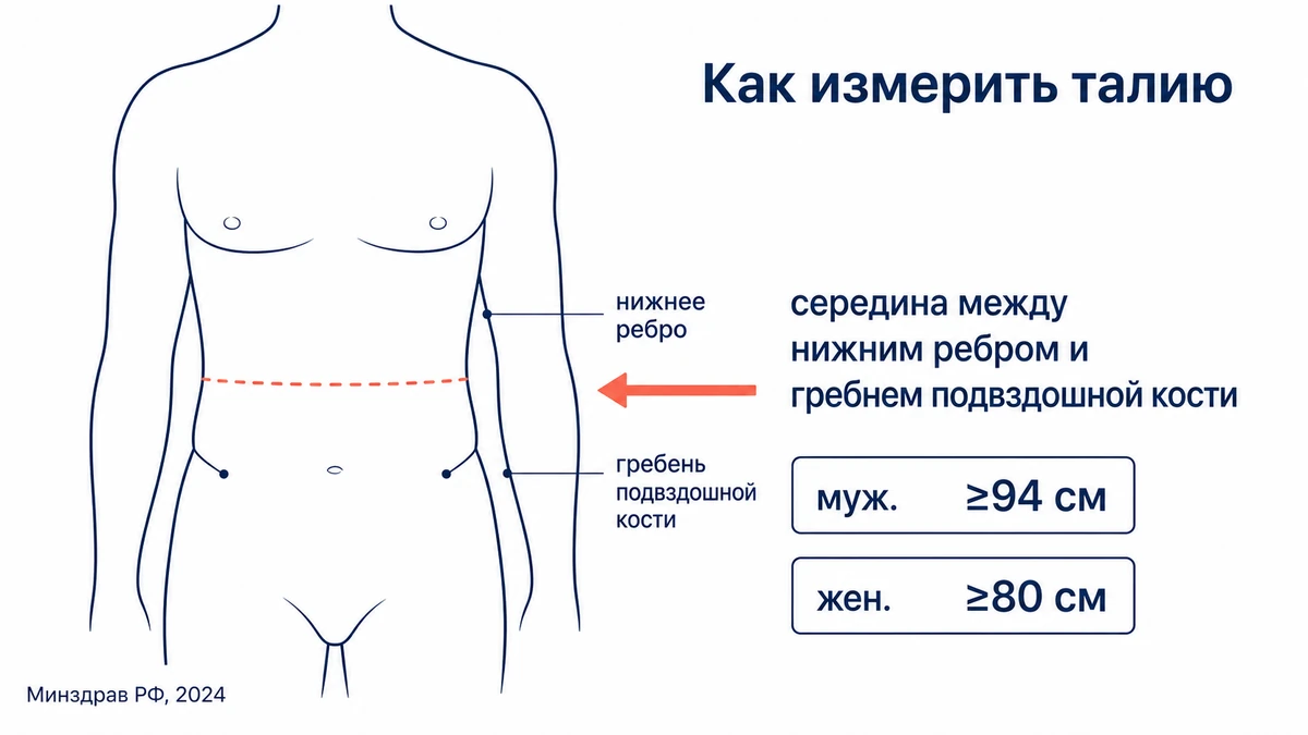 как правильно измерить окружность талии: схема с ориентирами на рёбра и гребень подвздошной кости