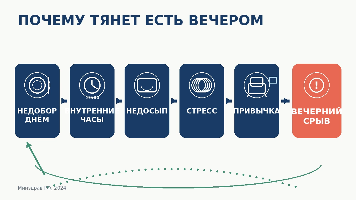 Схема причин: почему возникает переедание вечером &mdash; дневной недобор еды, циркадный ритм, недосып, стресс и привычка