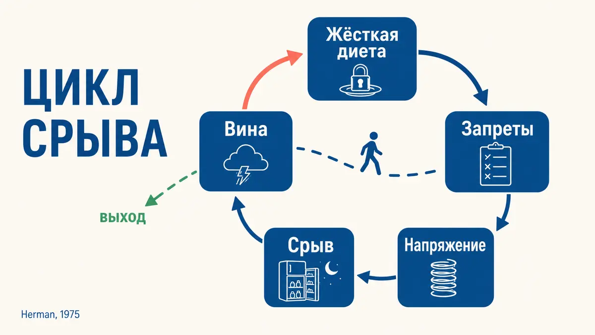Пять шагов цикла: чем жёстче правила, тем сильнее срыв — и тем строже следующая диета. Срывы при похудении: замкнутый цикл диета — напряжение — срыв — вина — новая диета