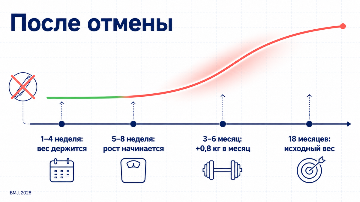 Возврат веса идёт не сразу: первые недели вес держится, рост обычно начинается со второго месяца. Что происходит с весом после отмены Семавика по неделям и месяцам — таймлайн
