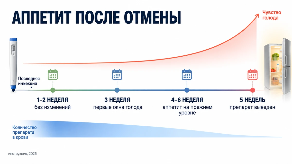 аппетит после Семавика: как меняется чувство голода по неделям после последней инъекции