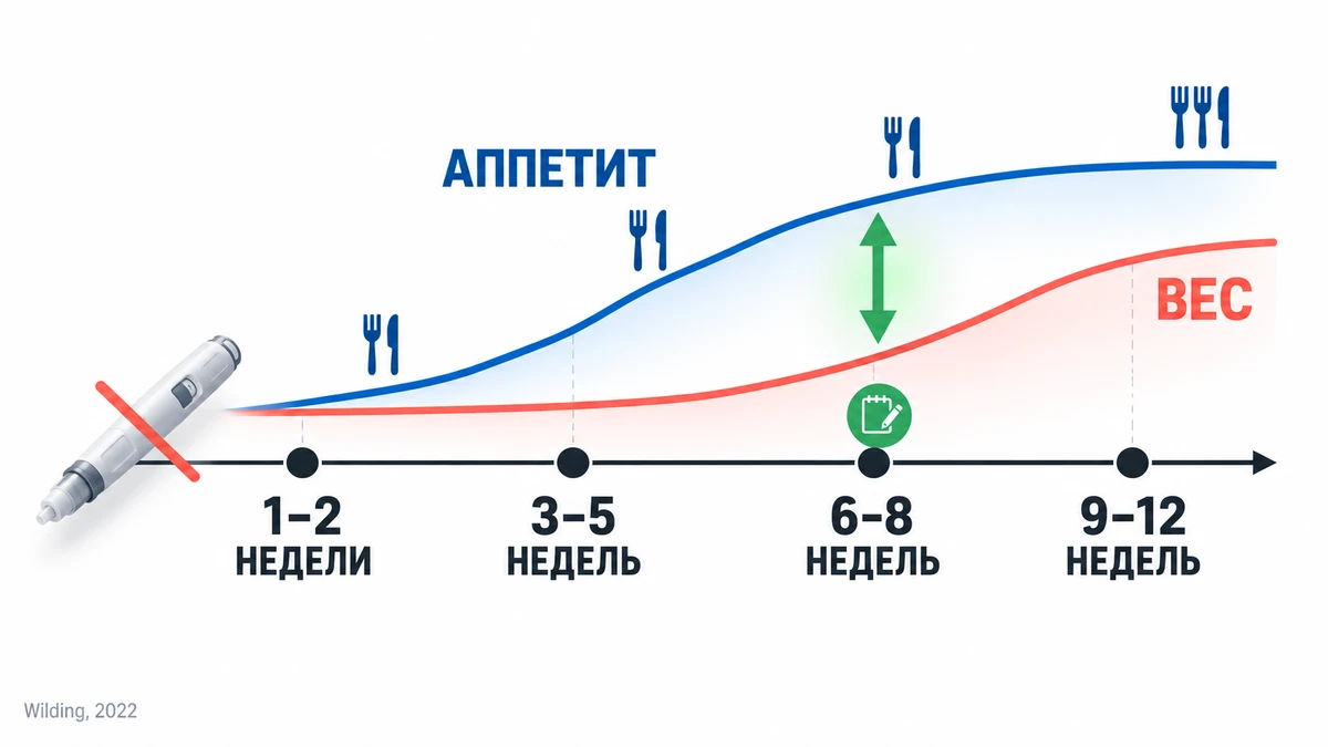 питание после Семавика: что происходит с аппетитом и весом по неделям после отмены препарата