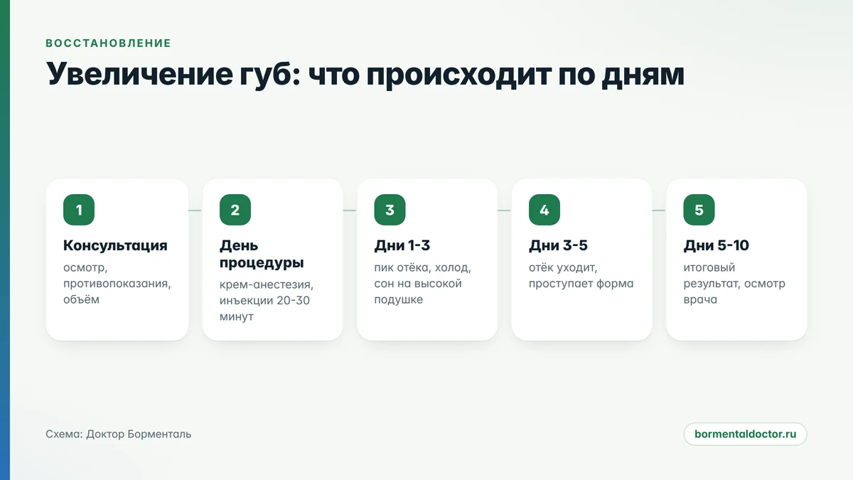 увеличение губ: восстановление по дням от консультации до итогового результата