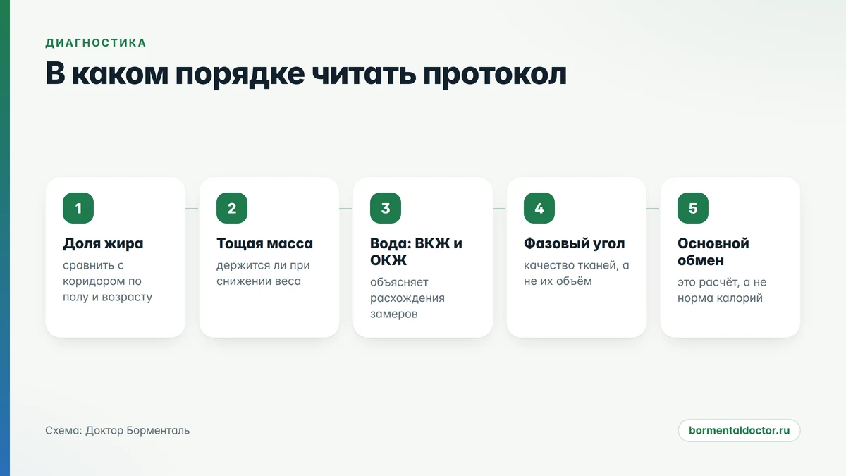 Пять шагов разбора протокола: от доли жира к расчётному основному обмену биоимпеданс: в каком порядке читать строки протокола