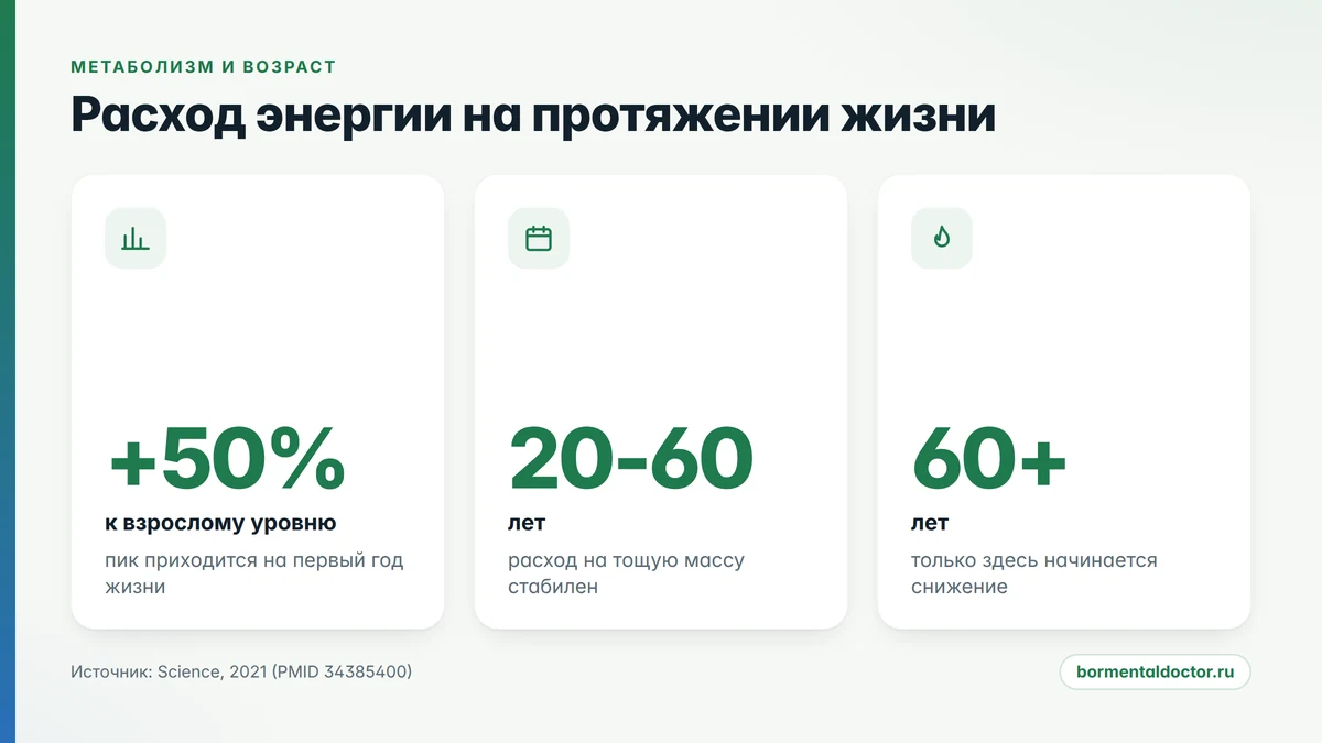 расход энергии и возраст: четыре периода по данным Science, 2021