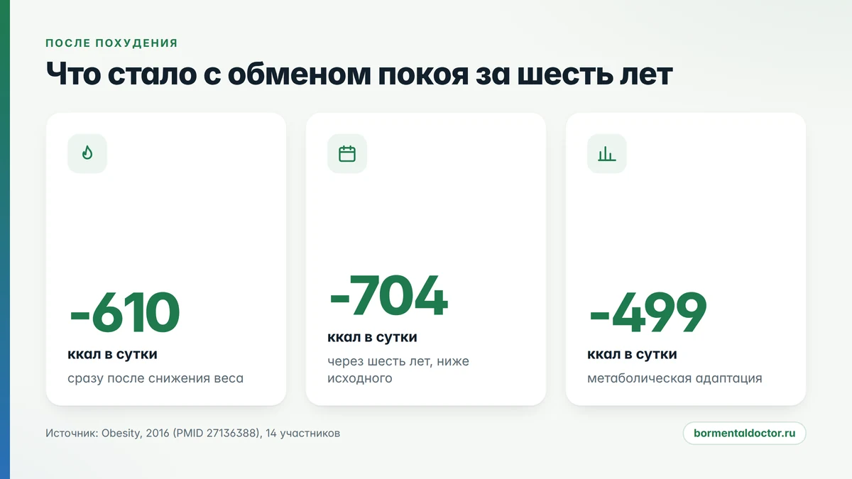 как меняется расход энергии в покое после сильного снижения веса